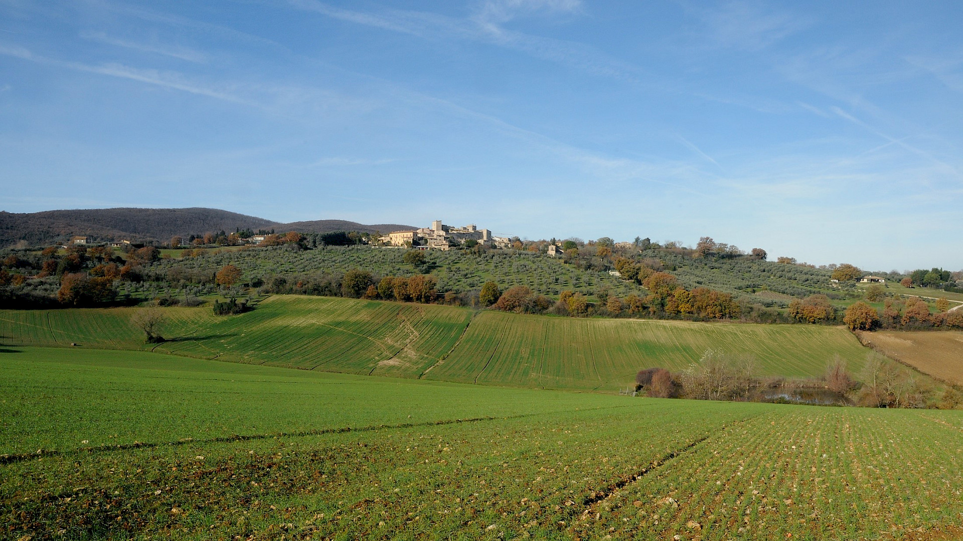 Passion for farming