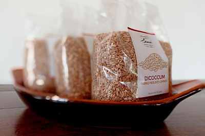 Autumn recipe